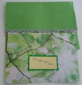 IMG_20180202_113523_747