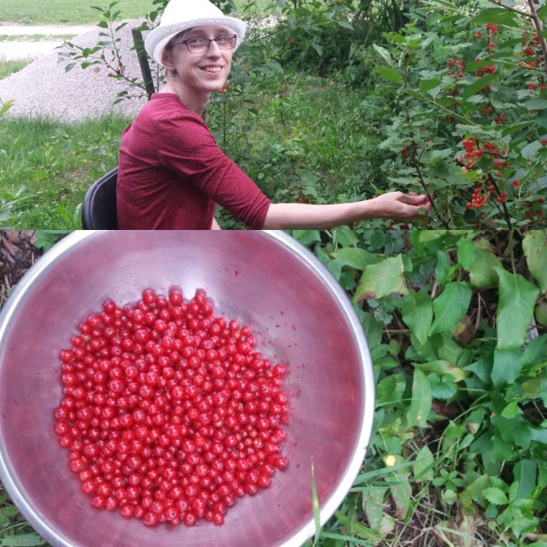 IMG_20180609_191436_529