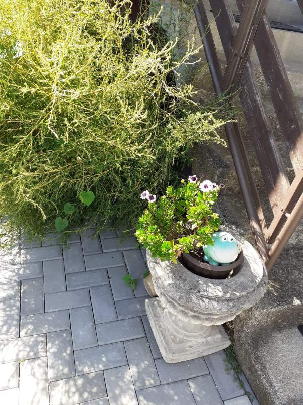 received_502815680287716