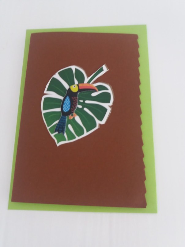 IMG_20191023_202804_307