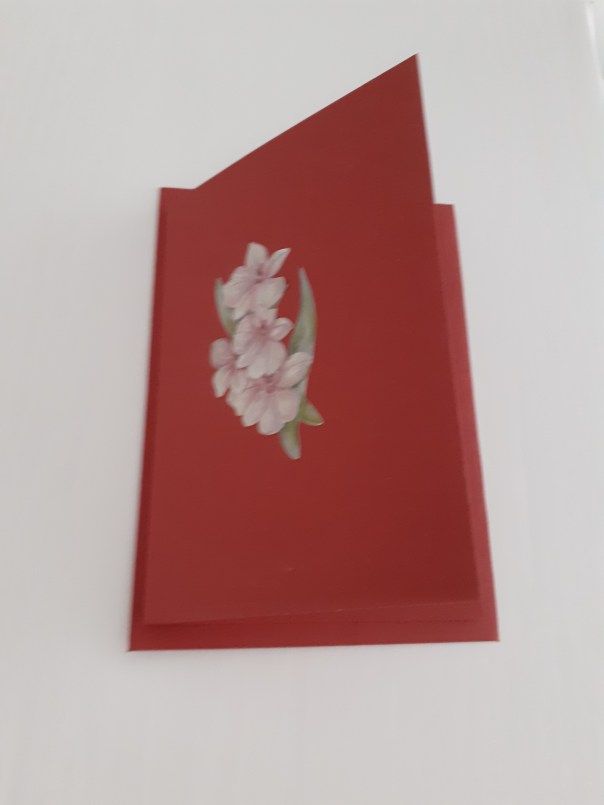 IMG_20191023_210321_650