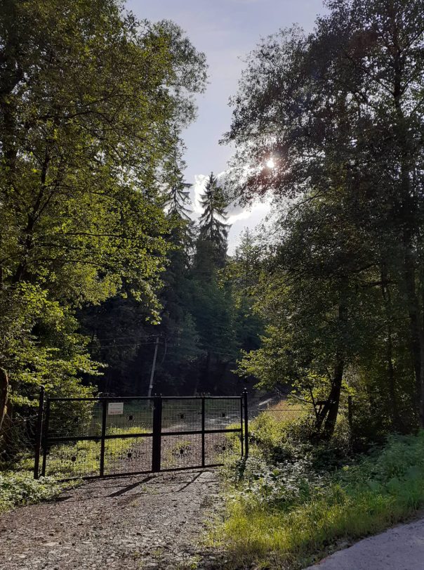 70378986_439209120278532_740828579490693120_n